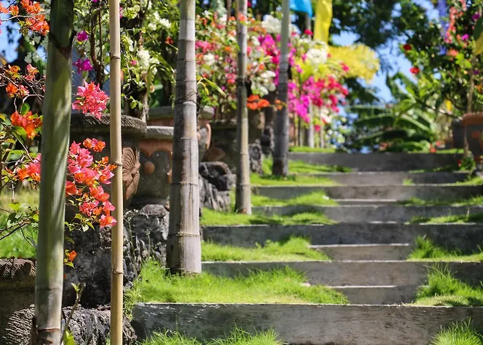 Matra Bali Canggu